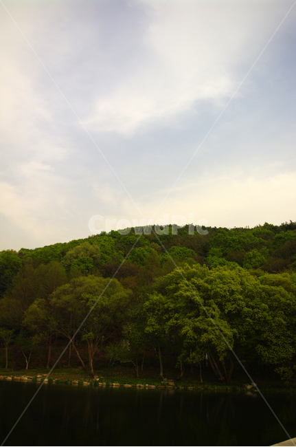 호수,나무,반영,풍경,식물,자연,풍경,nature,landscape,outdoors,옥외,slope,경사