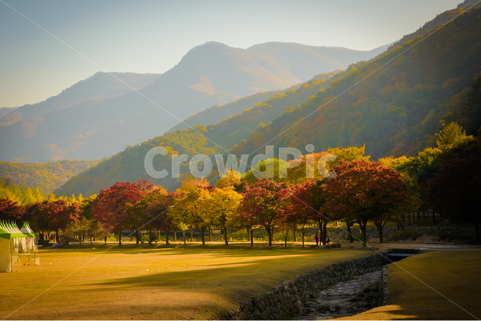가을,단풍,산,자연,계절,한국,fall,autumn,autumnleaves,mountain,nature,풍경사진,풍경,landscape,가을,계절,fall,autumn,season,자연,풍경,nature,landscape,한국자연풍경,한국자연경관,korea nature landscape,outdoors,옥외,field,들