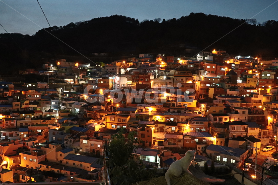 부산,감천,감천문화마을,야경,밤,불빛,조명,마을,건물,night,nightview,lights,풍경,colorful,alley,village,야경,밤,풍경,nightscape,night,landscape,도시,city,한국도시풍경,한국도시경관,korea cityscape