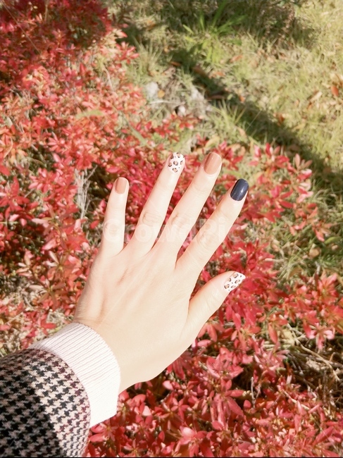 가을,손,손가락,햇빛,자연,잔디,몸,brown,여유,감성