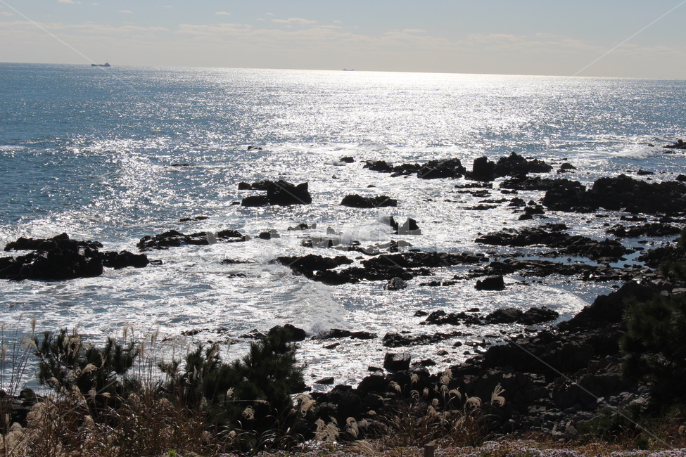 promontory,곶,ocean,대양,sea,바다,outdoors,옥외,nature,자연,water,물