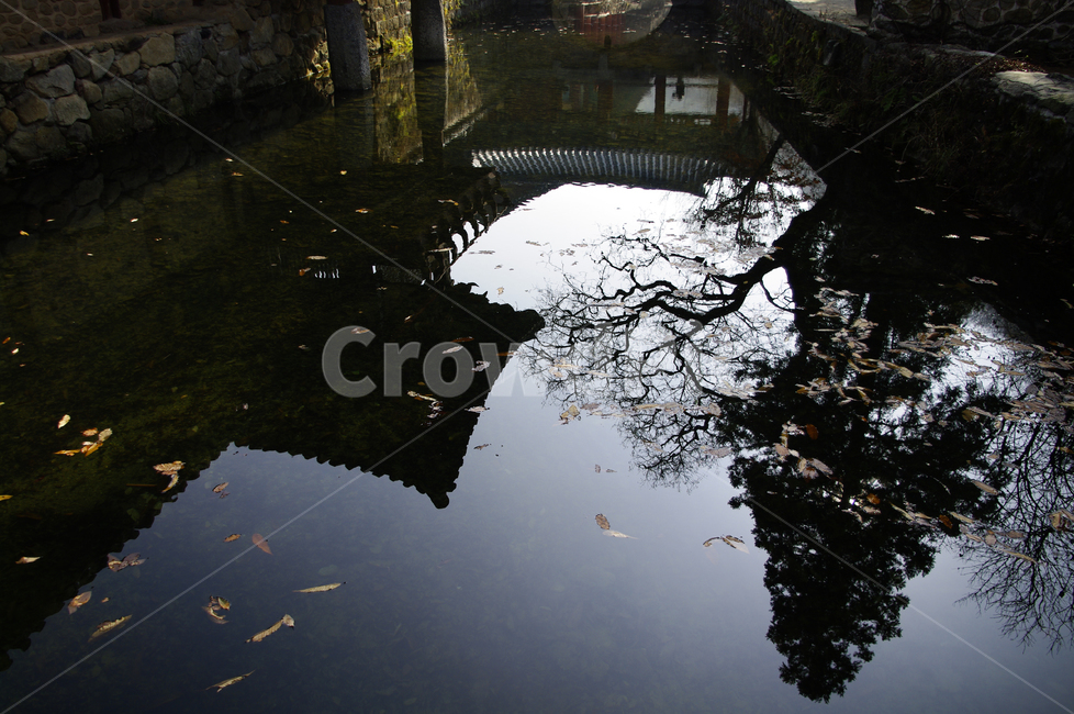 송광사,사찰,반영,전통건축,나무,자연,풍경,nature,landscape,puddle,흐리게 하다
