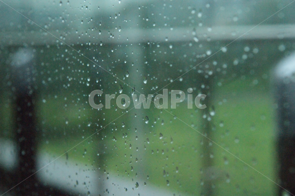 봄비,봄,추억,외로움,배경,비,비오는날,rain,rainy