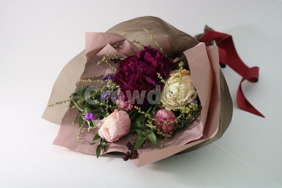 장미,꽃,플라워,로즈,장미꽃,식물,자연,flower,꽃,flower,기념일,축하,anniversary,congratulation,celebrate,celebration