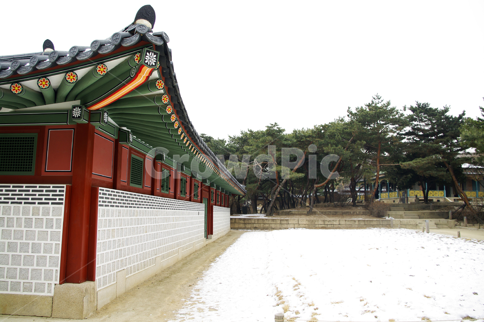 덕수궁,고궁,건축,전통건축,traditional,전통,기와지붕,겨울,winter,풍경,설경,눈,겨울,계절,winter,season,한국전통,한국문화,korean traditional,korean culture