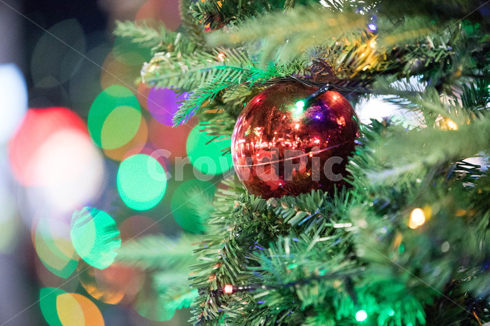 보케,조명,빛,빛축제,bokeh,lighting,light,크리스마스,나무,식물,크리스마스트리,장식,christmas,christmastree,메리크리스마스,성탄절,merry christmas