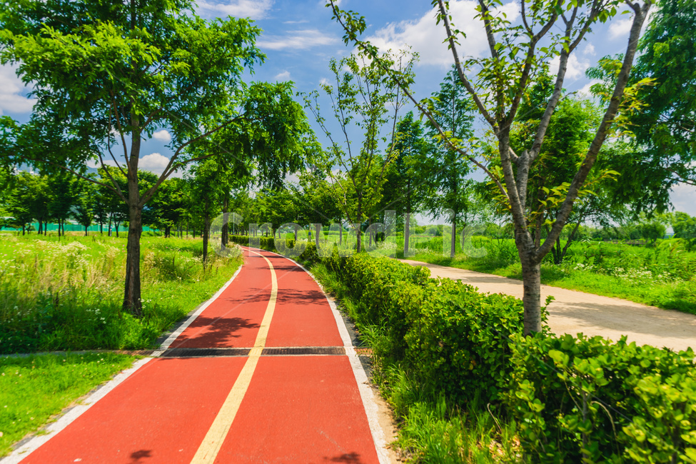 화명생태공원,산책로,나무,하늘,구름,휴식,풀,흙,흙길,공원,숲,부산,park,walk,wood,tree,sky,cloud,rest,forest,plant,sand,busan,beautiful,자연,풍경,nature,landscape,road,도로