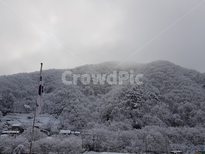 옥외,ice,얼음,눈,snow,nature,태극기,자연
