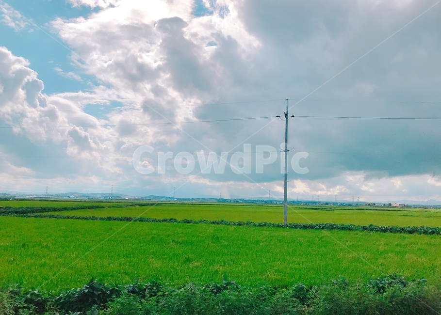 하늘,구름,논,풍경,자연,자연,풍경,nature,landscape,field,들,outdoors,옥외,grassland,목초지