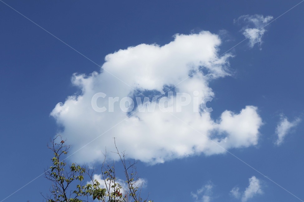 구름,잠자리,cloud,하늘,나무,자연,풍경,nature,landscape,outdoors,옥외,sky,azure sky,푸른 하늘