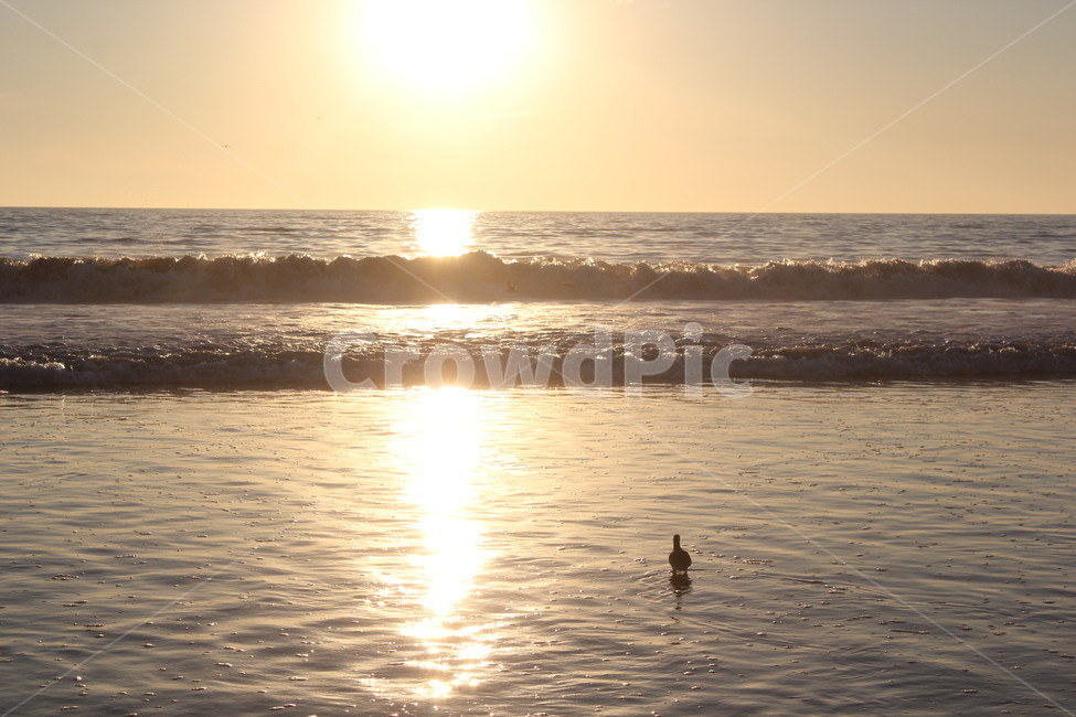 바다,햇빛,sunlight,nature,beach