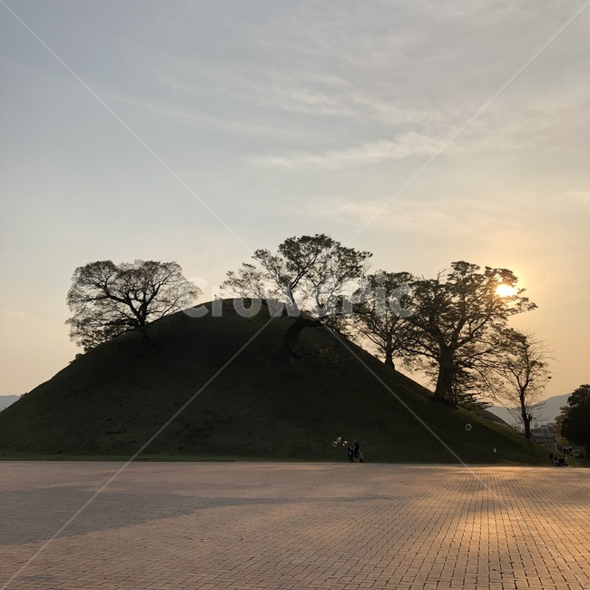 경주,봉황대,노을,릉,무덤