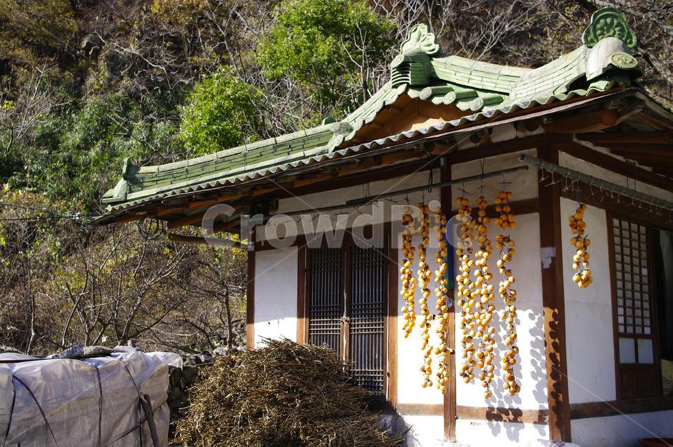 집,시골,농촌,지붕,house,시골,마을,풍경,landscape,country,rural,town,건축물,건물외관,exterior,building,structure,architecture,construction