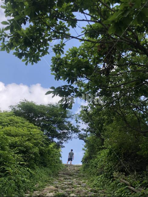 지리산,지리산노고단,성삼재출발,하늘,구름,산,나무