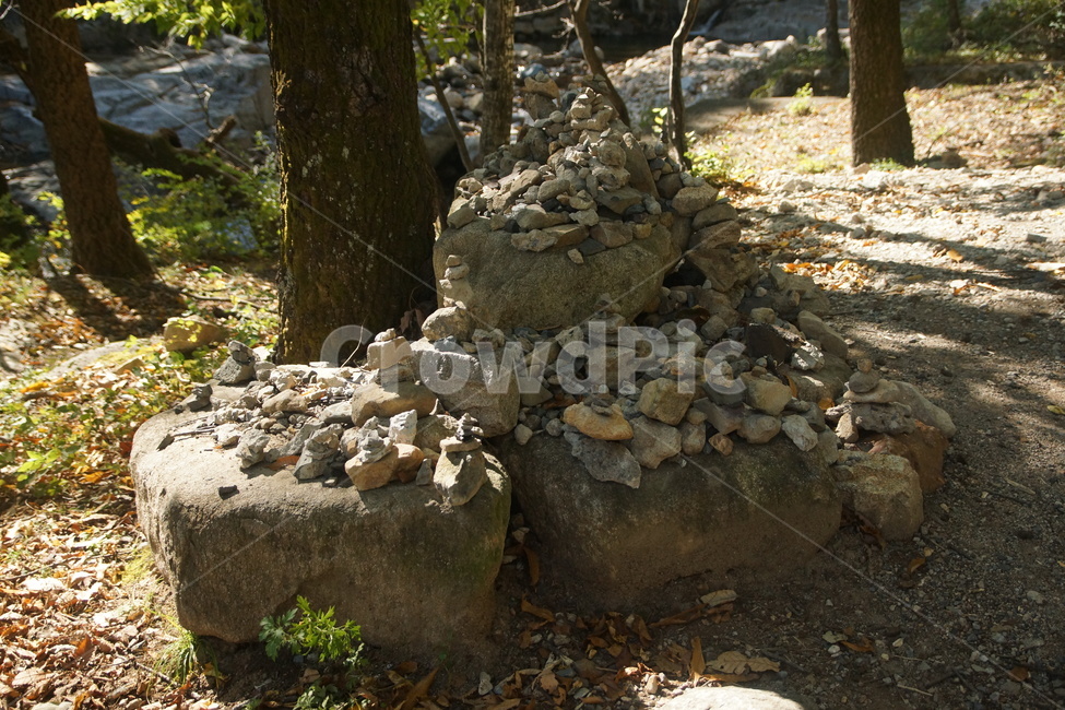 rubble,파편,ground,바닥,tree,나무,가을,fall,autumn,가을빛,autumnaltints,자연,nature,석남사,seongnamsatemple,탑,pagoda,석탑,stonepagoda,돌탑
