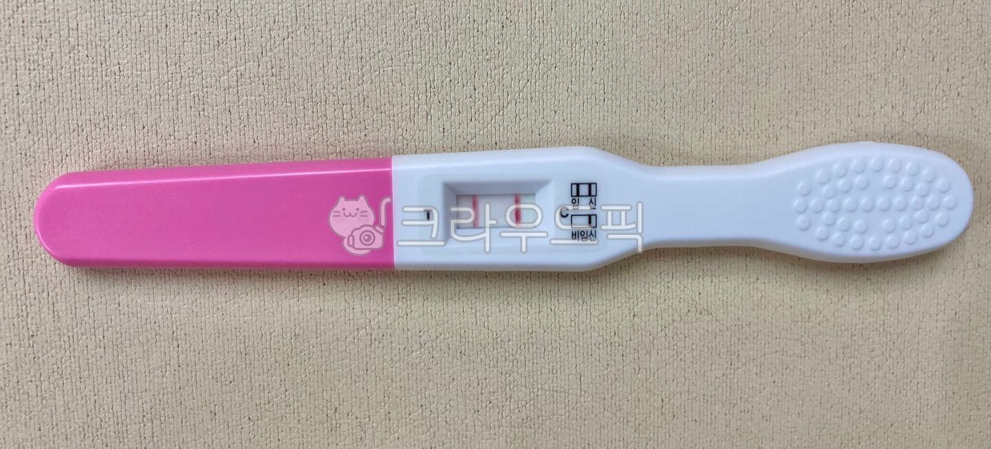임신,테스트기,임신테스트기,임테기,두줄