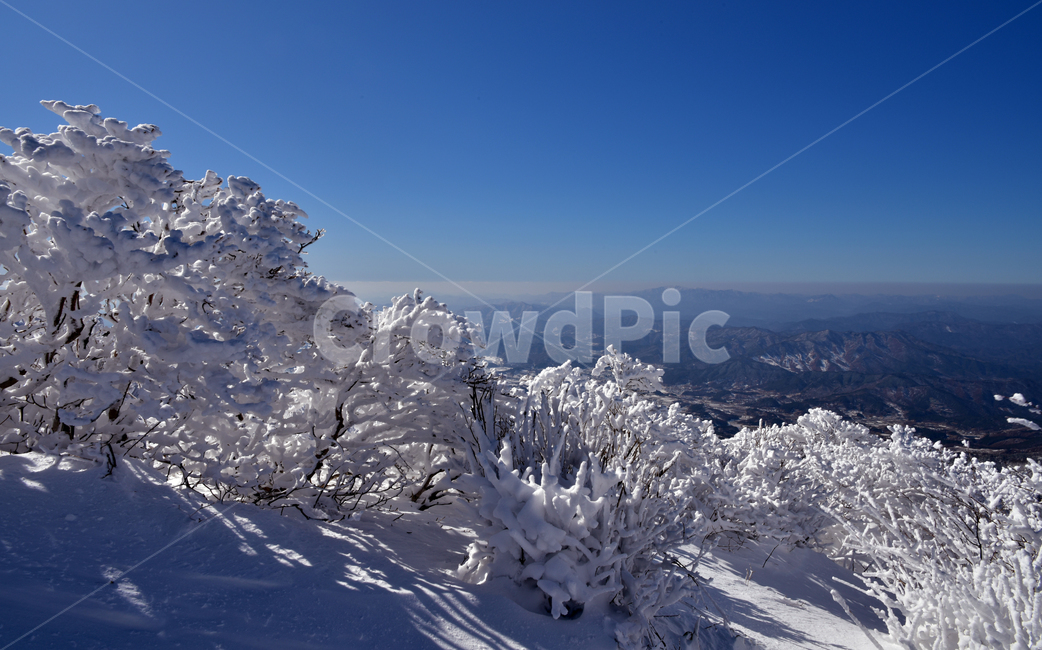 nature,자연,눈,눈꽃,겨울,winter,덕유산,겨울,계절,winter,season