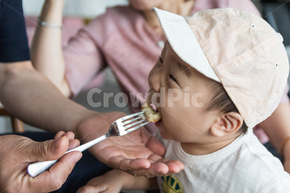 아기,가족,아이,남자아기,귀여운,작은,통통한,볼살,얼굴,먹고있는,포크,모자,남자,어린이,아동,유아,두살,인간,모델,식사,빵,표정,잘먹는,애기,식욕,건강한,튼튼한,사람,인물,인간,human,person,어린이,어린아이,child,children,kid