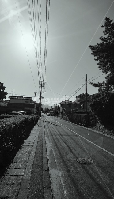 길,흑백,전주,도로,나무,골목길,alley,흑백,모노톤,monochrome,black and white,asphalt,아스팔트