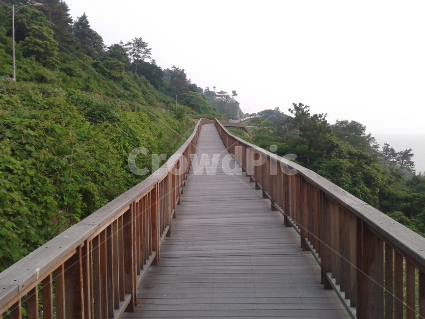 산책,산책로,다리,boardwalk,걷기,해변,공원