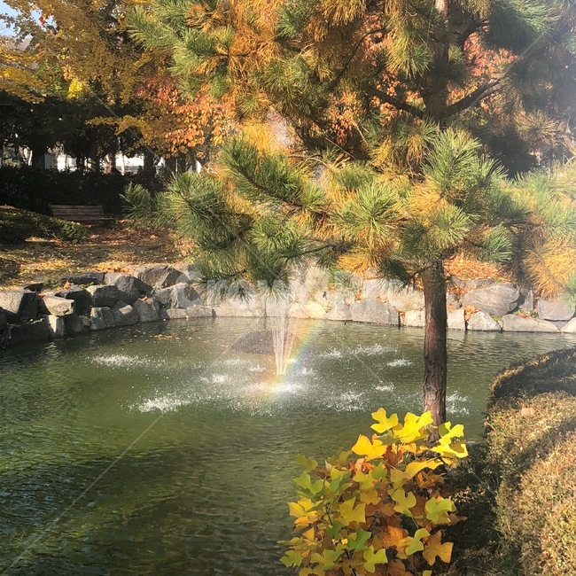 무지개,분수,rainbow,연못,나무,여름,물줄기
