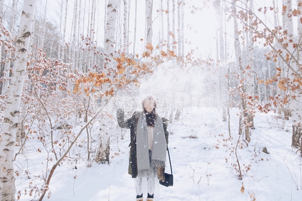 인제,자작나무숲,겨울,산,계절,눈,winter,snow,여행,감성,감성사진,인물사진,겨울,계절,winter,season,자연,풍경,nature,landscape,사람,인물,인간,human,person,얼굴표정,facial expression,face,여성,여자,woman,female,lady,감정표현,기분,feeling,emotion,감성,sensible,outdoors,옥외,storm,폭풍,blizzard,눈보라