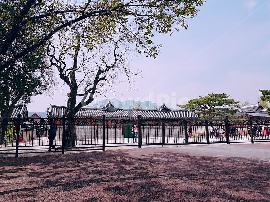 건축물,건물,한옥,경복궁,building,korean,한국전통,한국문화,korean traditional,korean culture
