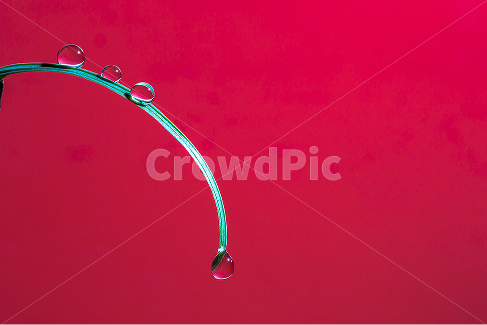 Close data,Capture the moment,droplets,affix,Emotional photo