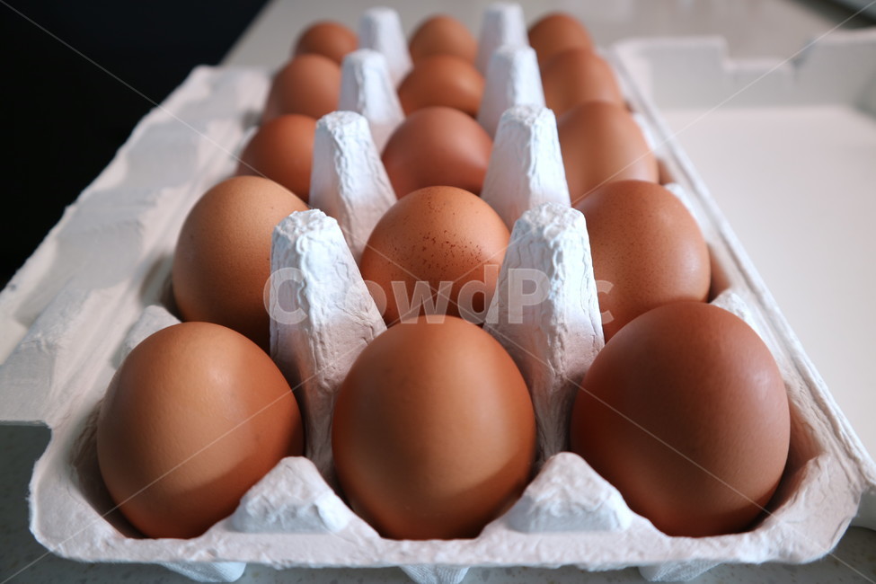 계란,달걀,생계란,날계란,식재료,식자재,요리,레시피,음식,반찬,알,닭,병아리,에그,앙계장,식품,식료품,cook,object,recipe,meal,food,음식,식재료,요리,food,cook,meal,dishes,food reserves