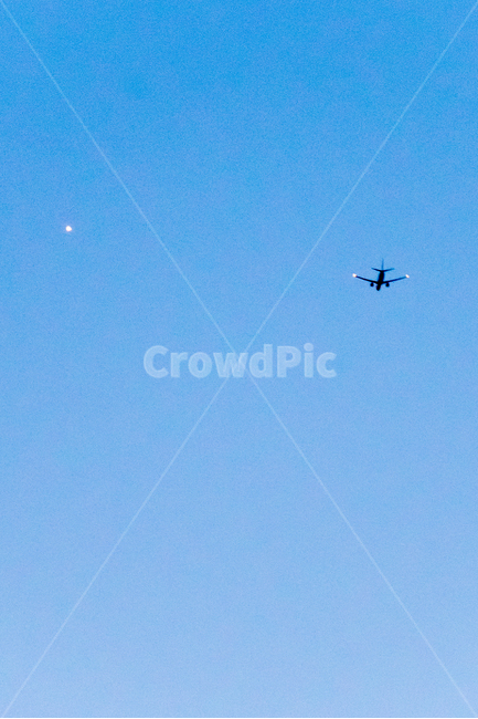 하늘,구름,비행기,노을,하늘색,자연,풍경,nature,landscape,교통,교통수단,traffic,transportation,bird,새,flying,나는,animal,동물,leisure activities,레저 활동,adventure,모험,aircraft,항공기,vehicle,차량,airplane