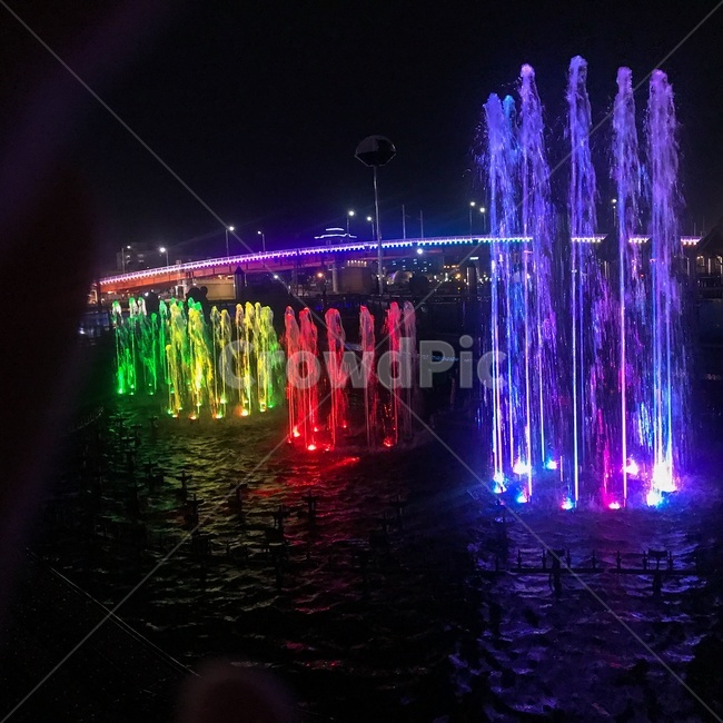 분수,분수대,음악분수,풍경,축제,포항,공원,야경,밤,풍경,nightscape,night,landscape,축제,행사,festival,carnival,event,water,물