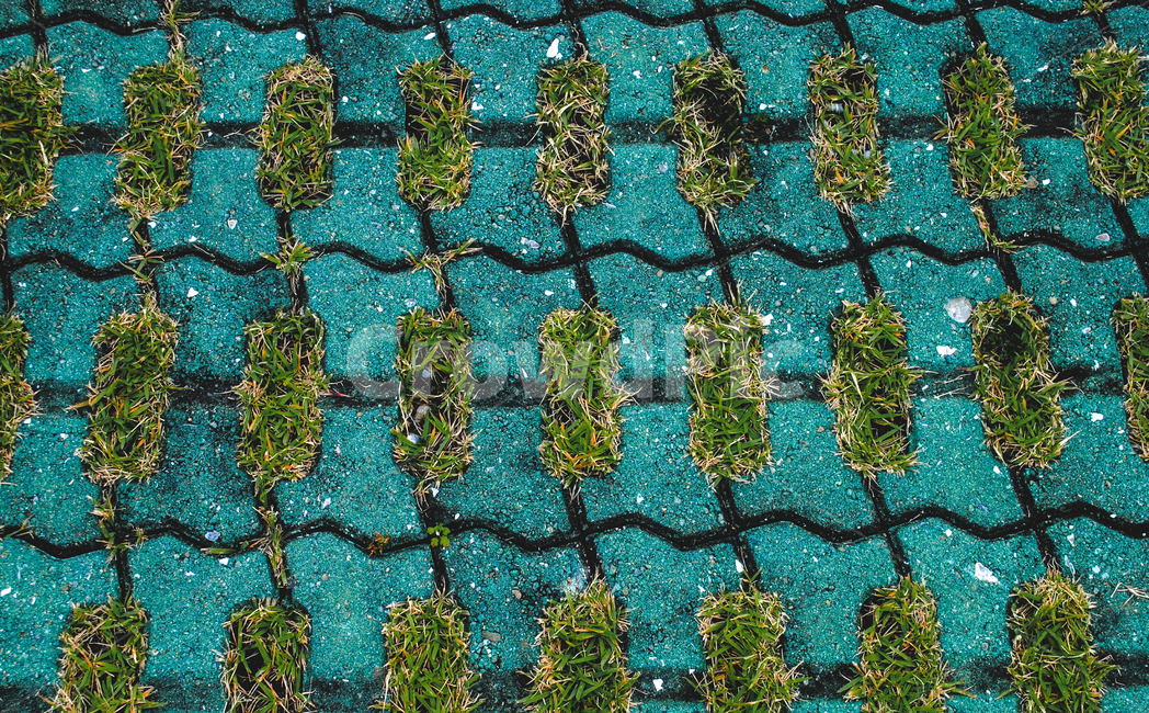 패턴,무늬,잔디,background,초록,녹색,backdrop,질감,바닥,재질,기하학,texture,텍스처,colorsensitivity,풀,green,식물,자연,plants,nature,텍스처,질감,패턴,texture,pattern