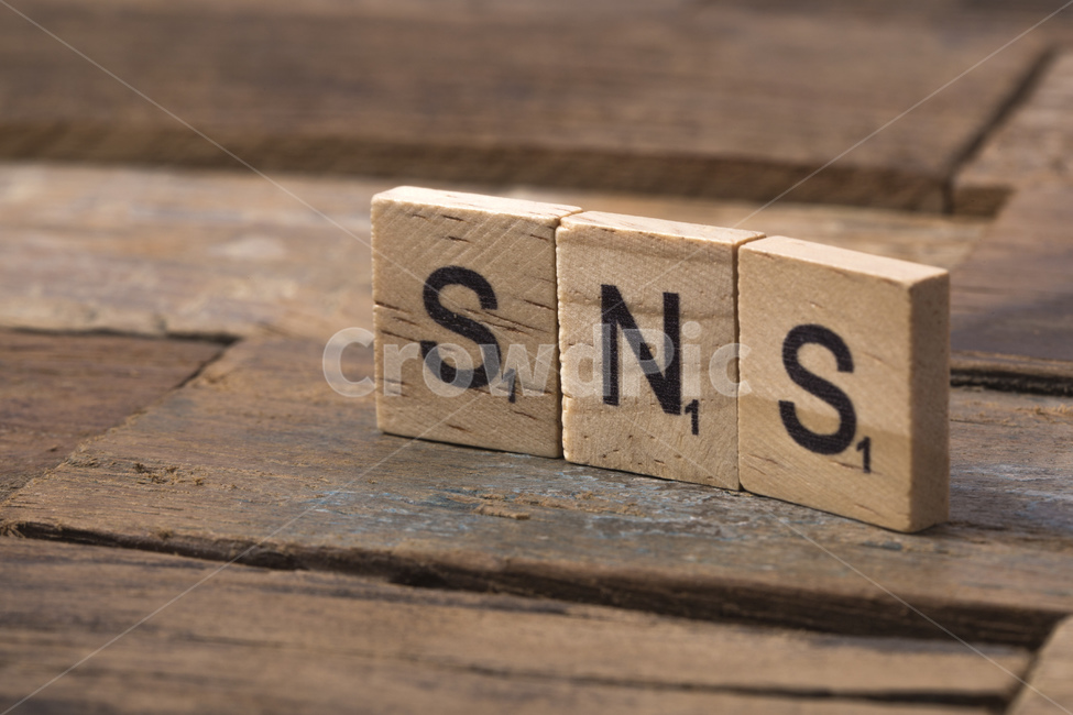 sns,소셜,네트워크,서비스,관계망,트위터,페이스북,라인,인스타그램,알파벳,나무,연출,컨셉,콘셉,direction,concept