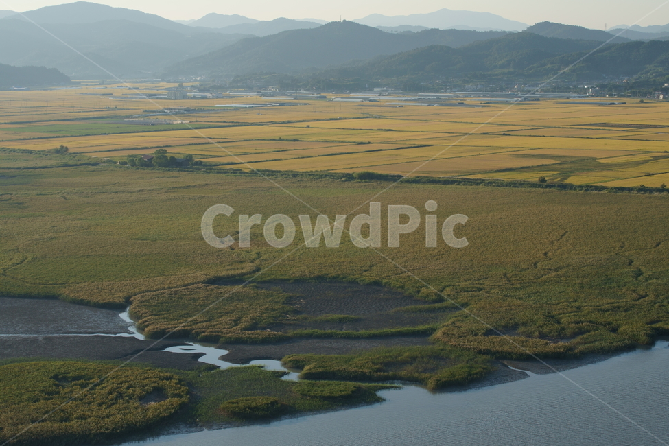 순천만,순천만습지,습지,자연,가을,wetland,nature,koreanature,beautiful,autumn,fall,autumnnature