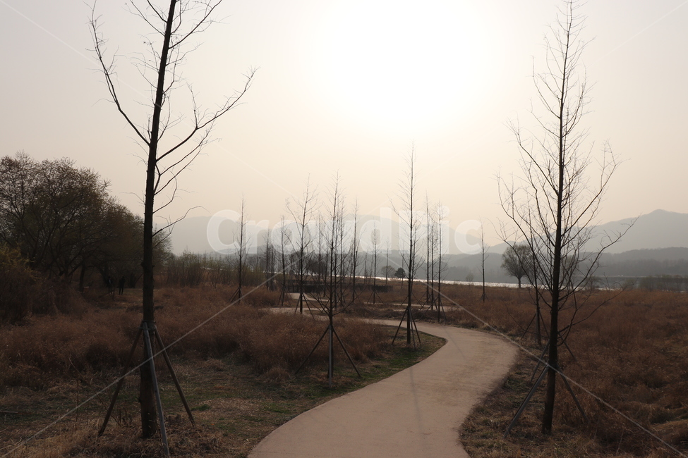 path,통로,길,해,봄,고즈넉