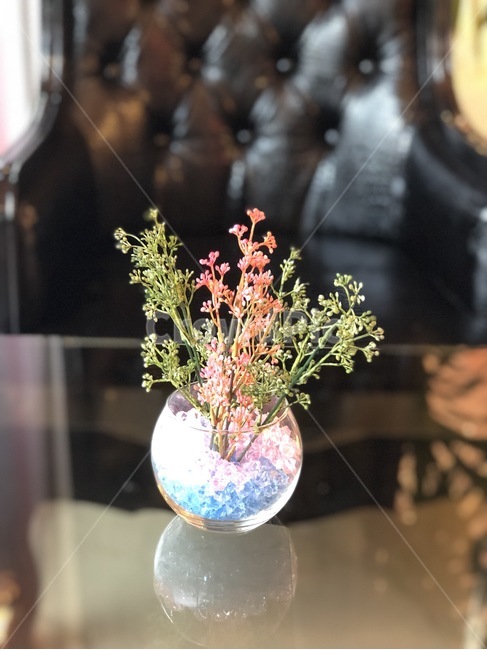 조화,꽃병,병,꽃,플라워,화병,드라이,감성,감성사진,cafe,인테리어,실내용화초,화분,화초,house plant