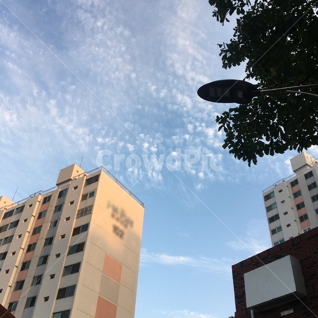 building,건물,구름,하늘,나무