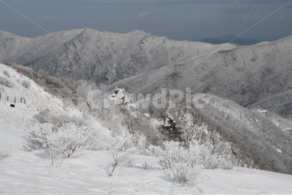 wind noise,mountains,snow scene,beauty,ecosystem,snow tree,greatness of nature,scenery,trees,mountain climbing,healing,season,land,ridge,mysterious mountain,Korea,sky,nature,famous Korean mountain,hiking,hiking trail,stone,environment,Sobaeksan Mountain,e