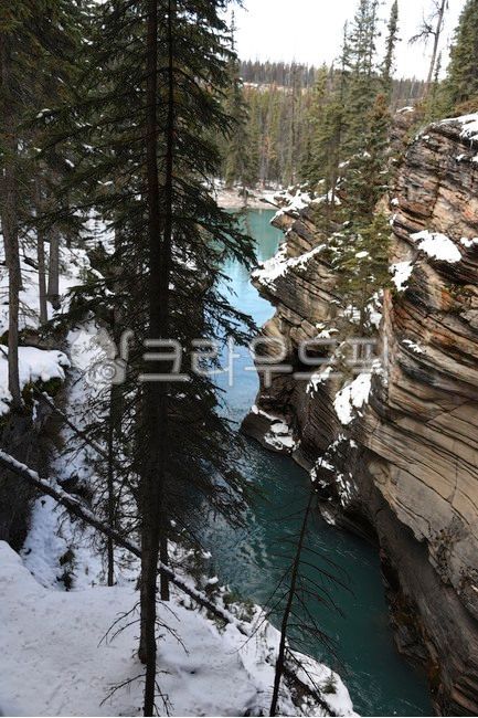 ice,athabasca,mountain,falls,north america,banff,sightseeing,jesper,natural,cascade,frozen,water,body of water,canyon,canada,snow,lake,albeng,rockies,winter,rocky,rock,stream,athabascafalls,waterfall,northamerica,nature,alberta,stone,jasper,river,wild,lan