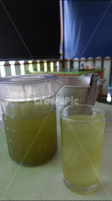 녹차,마실것,beverage,drink,음료