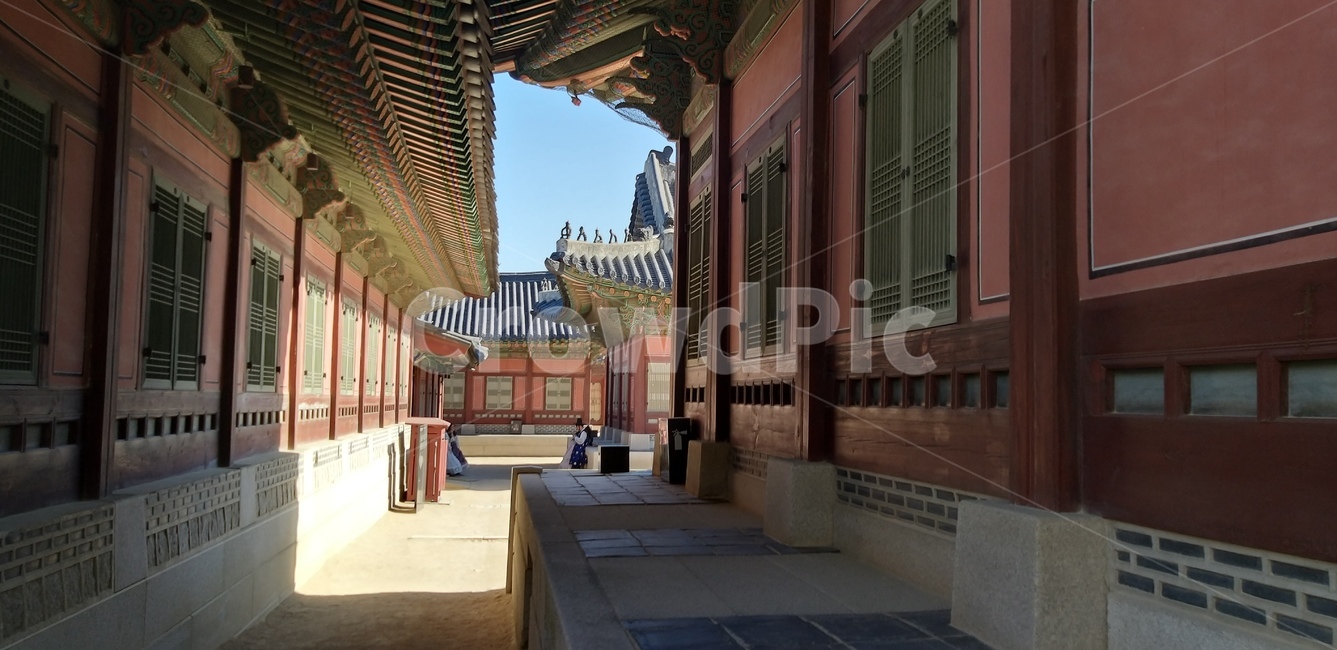 광화문,한국,전통건축,궁,단청,건물외관,korean,tradition,construction,맑은날,여름,하늘,지붕,처마