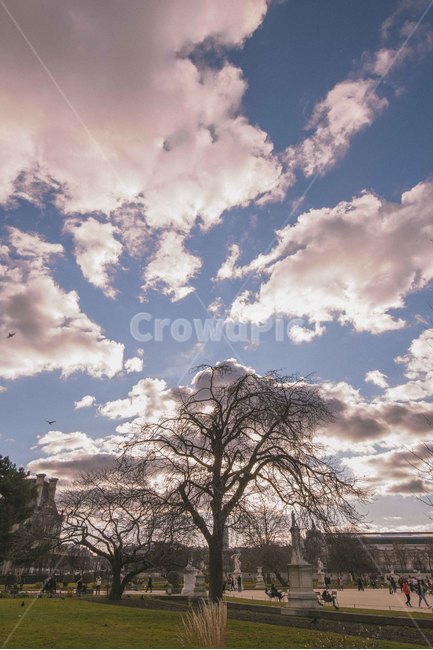 weather,날씨,nature,자연,outdoors,옥외,cumulus,적운,cloud,구름,sky,하늘,france,파리,프랑스,paris