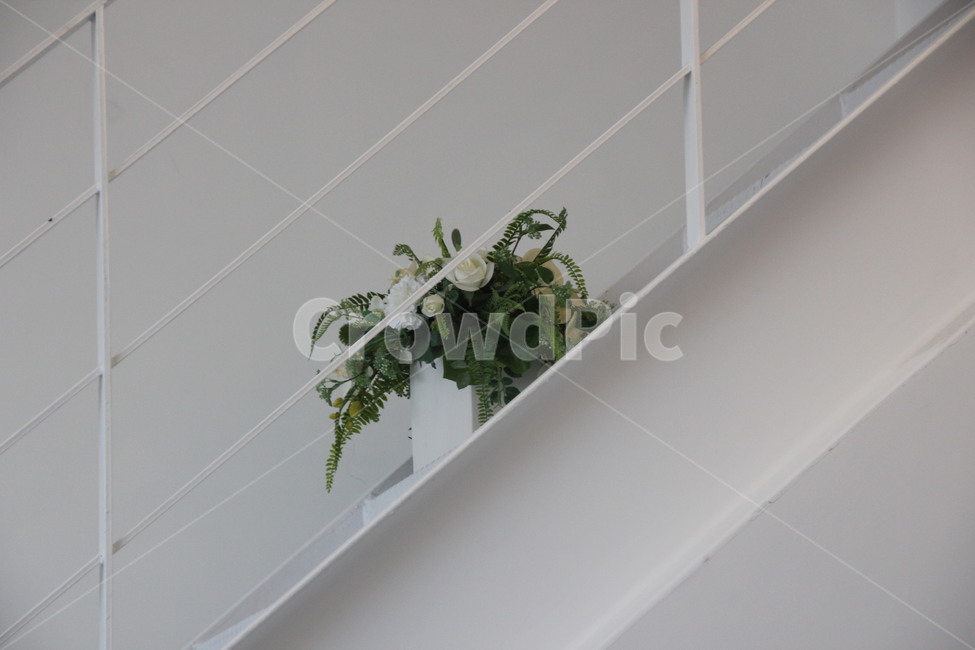 화분,계단,꽃,깔끔,하얀색,흰