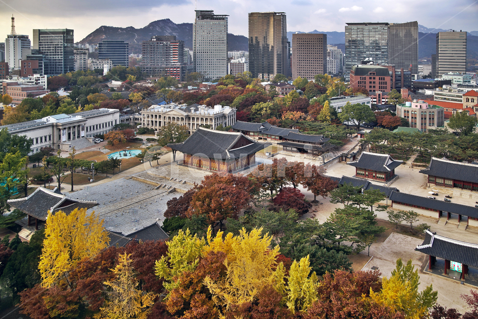 덕수궁,궁궐,가을,계절,서소문,도심,빌딩,건물,한국전통,한국문화,korean traditional,korean culture