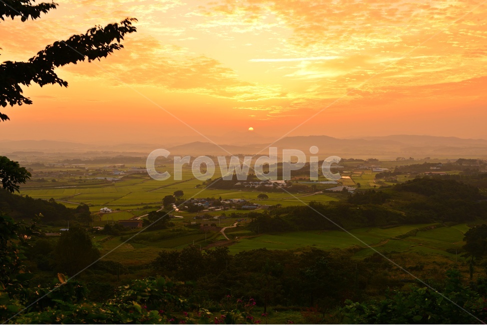 함평밀재,밀재,밀재일출,scenery,풍경,landscape,경치,nature,자연,outdoors,옥외,dawn,새벽,sky,하늘,redsky,붉은하늘,자연,풍경,nature,landscape