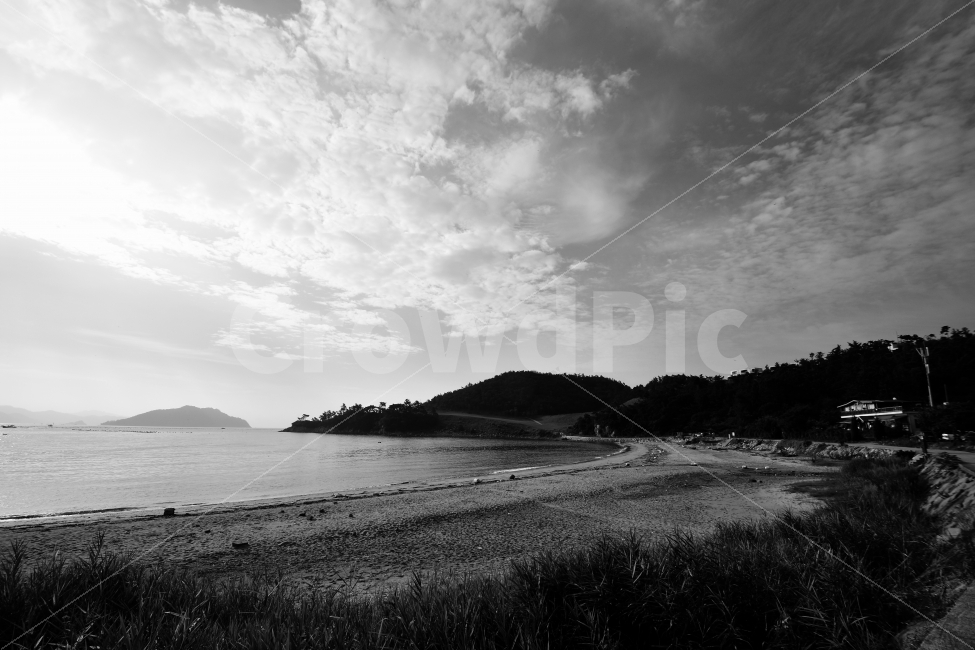 풍경,바다,흑백,모노,감성,구름,해변,모래,나무,숲,바닷가,자연,풍경,nature,landscape,흑백,모노톤,monochrome,black and white,land,땅,outdoors,옥외,water,물