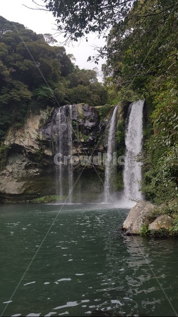 water,물,nature,자연,폭포,천지연,제주도,자연,풍경,nature,landscape,river,강,outdoors,옥외,waterfall