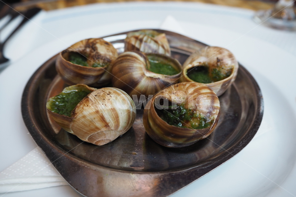 에스까르고,달팽이,달팽이요리,프랑스요리,프랑스음식,프랑스,음식,식재료,요리,food,cook,meal,dishes,food reserves,양식,서양음식,서양요리,western food,western dishes,western meal,western cook