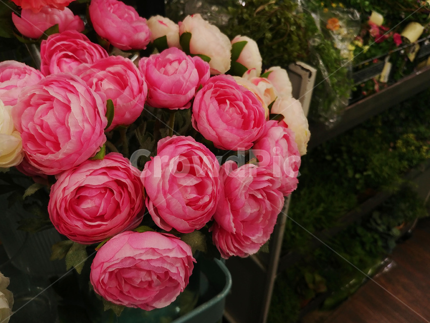 꽃,꽃다발,디스플레이,플라워,백그라운드,장식,데코레이션,꽃잎,flowers,칼라,color,식물,축하,조화,배경화면