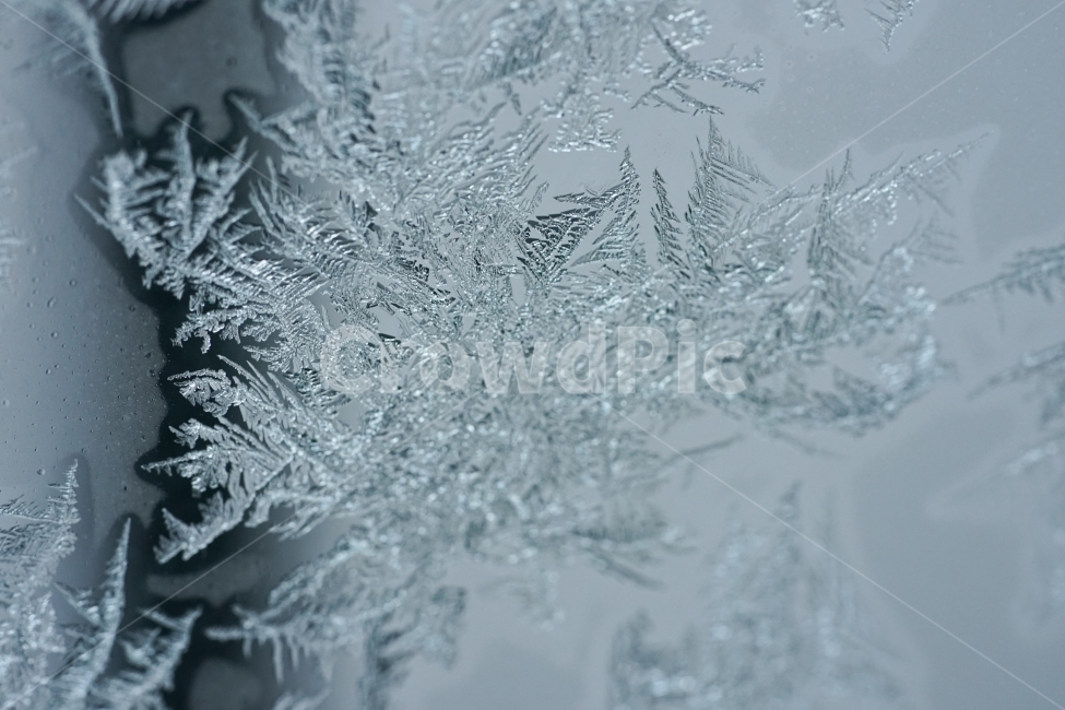 눈,스노우,접사,겨울,추위,얼음,느낌,감성,감성사진,접사사진,snow,결정,물,신비,자연,계절,겨울,계절,winter,season